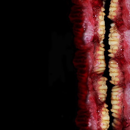 H+ Sexualis