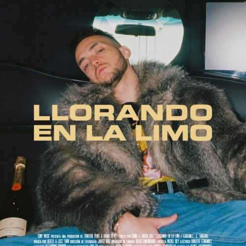 Llorando en la Limo