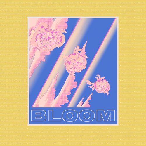 Bloom