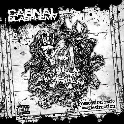 Possession Hate and Destruction
