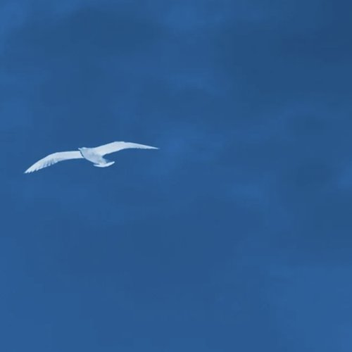 模式