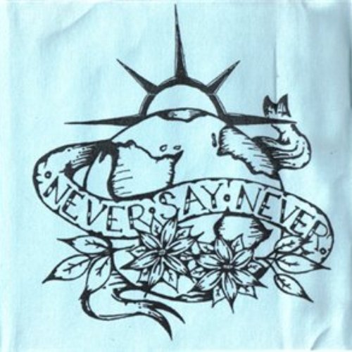 Never Say Never