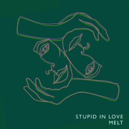 Stupid in Love