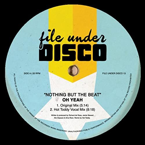 Nothing but the Beat - Single