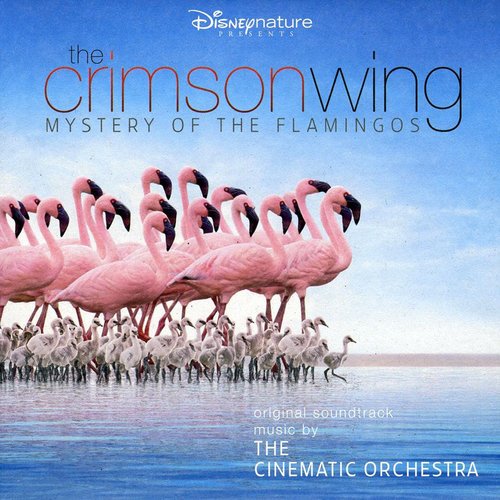 The Crimson Wing: Mystery of the Flamingos