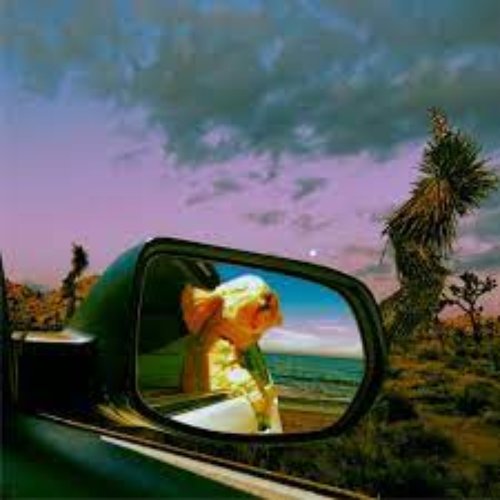 I'm Just a Dog - Single