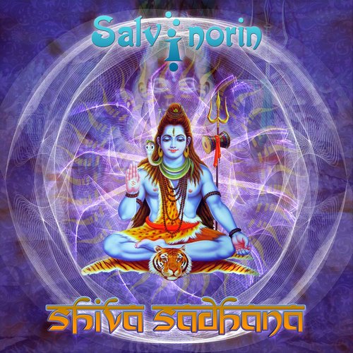 Shiva Sadhana