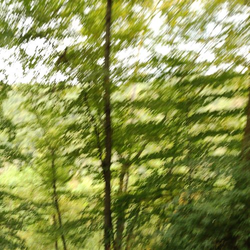 in nature, together