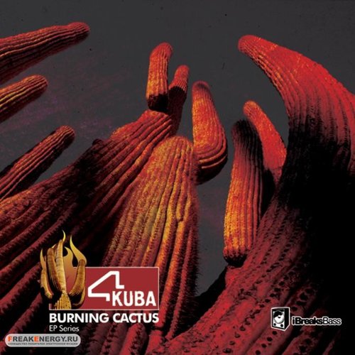 Burning cactus Part 1