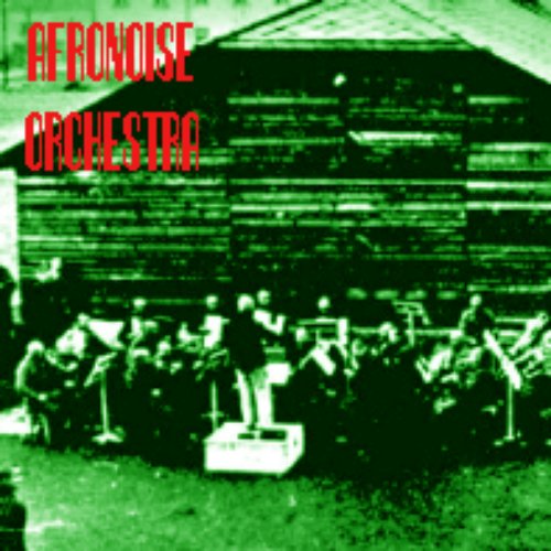 Afronoise Orchestra