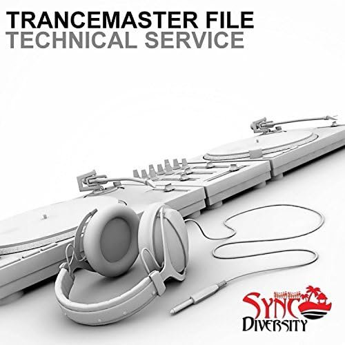 Technical Service