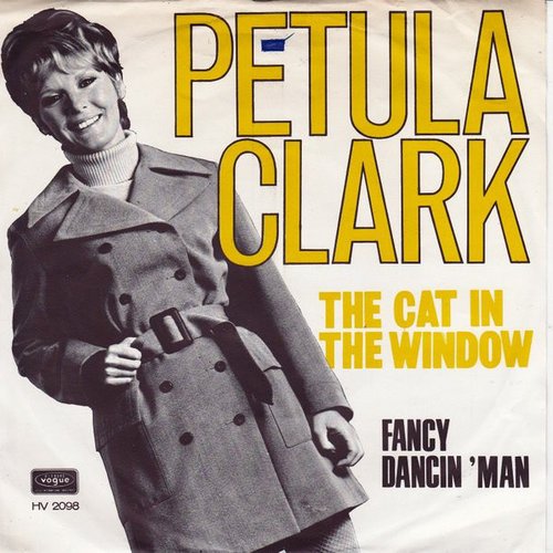The Cat In The Window