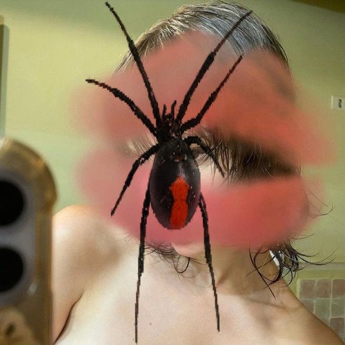 #Arachnid