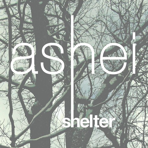 Shelter