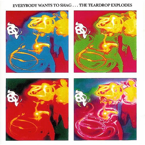 Everybody Wants to Shag...The Teardrop Explodes