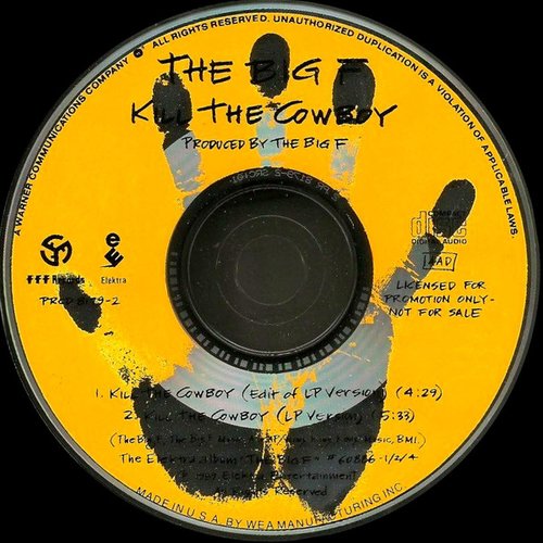 Kill The Cowboy