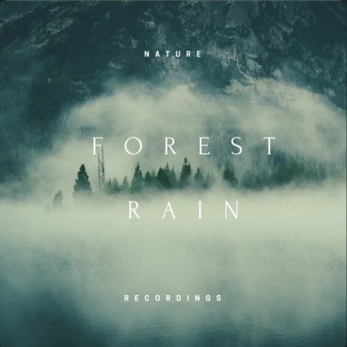 Forest Rain