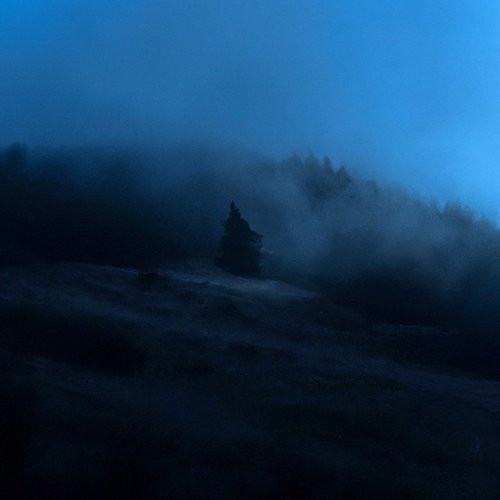 reverie