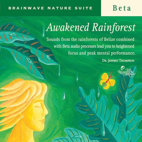 Awakened Rainforest