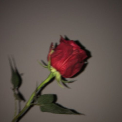Something, Somewhere. [Explicit]