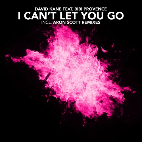 I Can't Let You Go (feat. Bibi Provence)