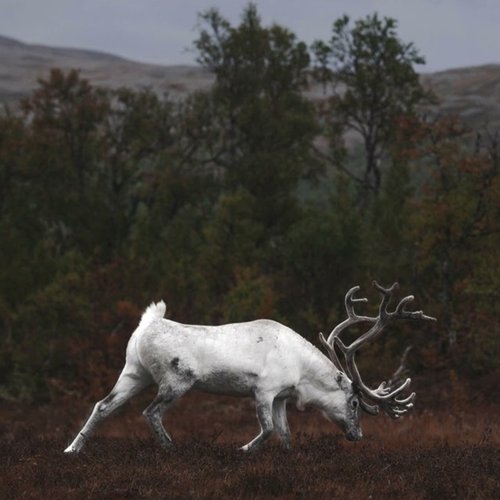 Avfärd