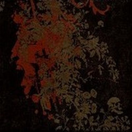 MMVI 2006