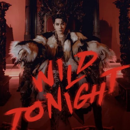 WILD TONIGHT - Single