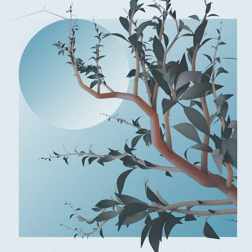 Branches - Single