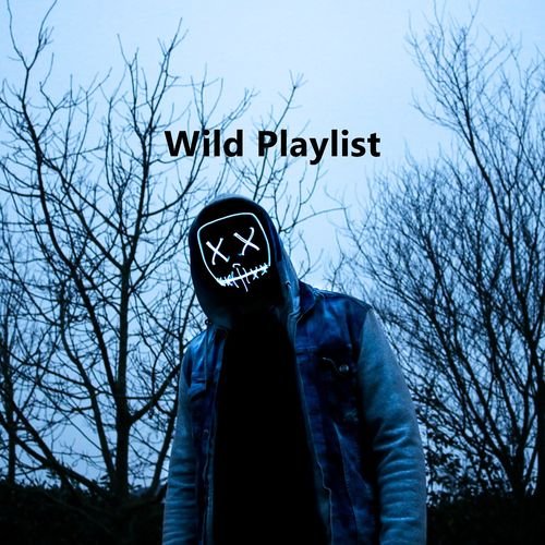 Wild Playlist