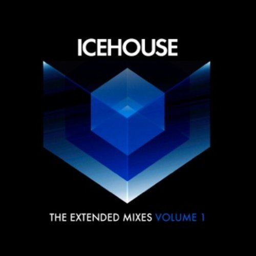 The Extended Mixes Vol. 1