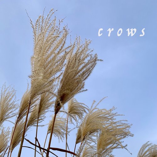 Crows - Single