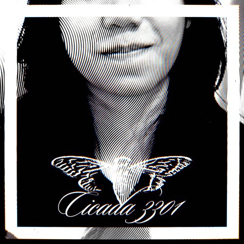 Cicada 3301