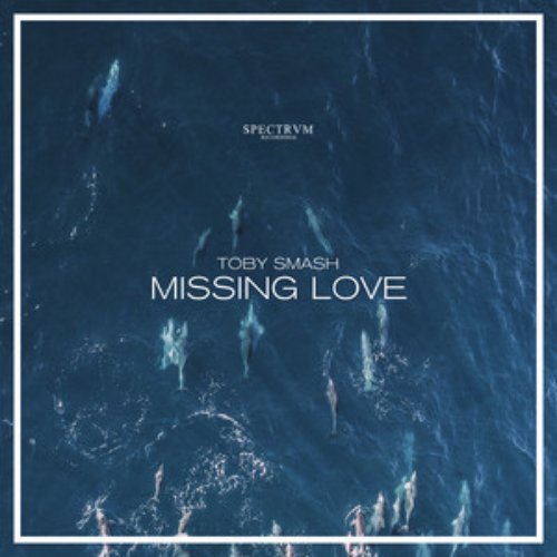 Missing Love