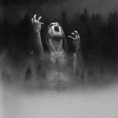 Taake