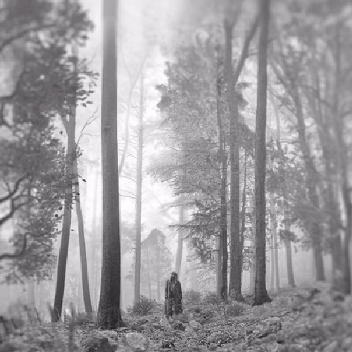 folklore (Explicit)