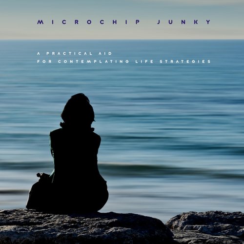 A Practical Aid for Contemplating Life Strategies