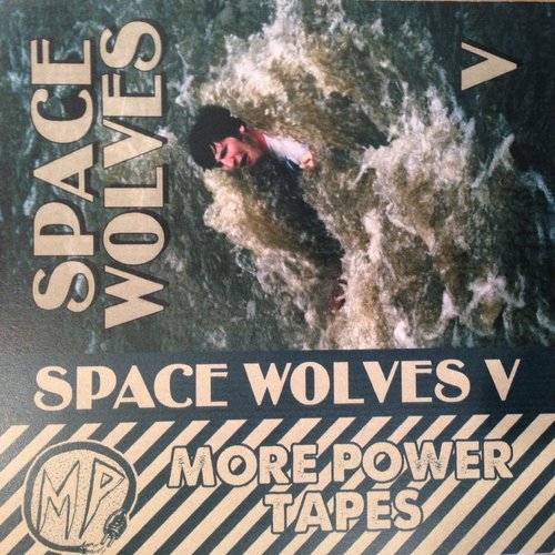 Space Wolves V