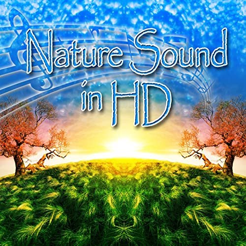 Nature Sounds In Hd