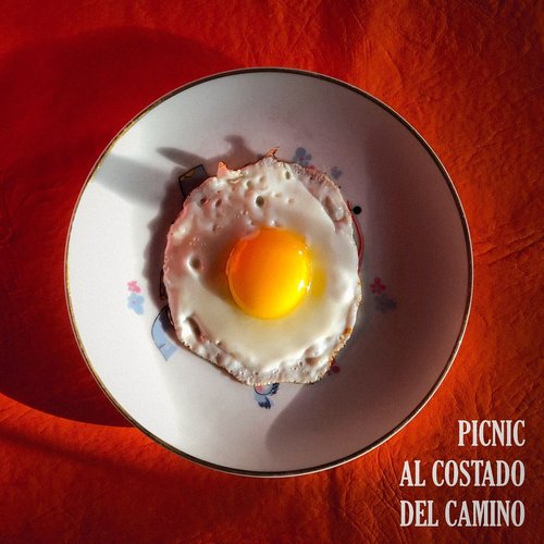 Picnic Al Costado Del Camino