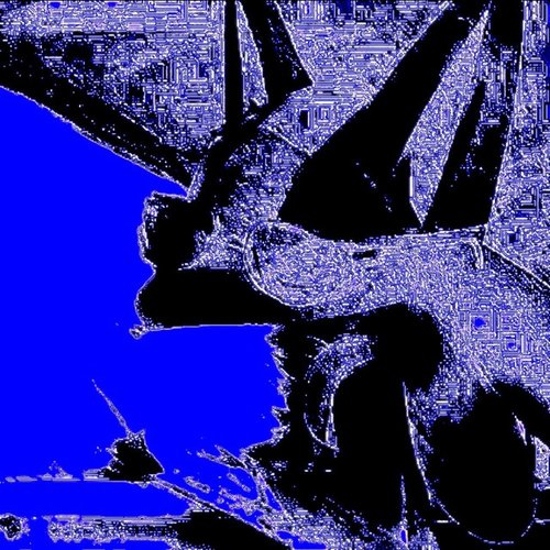 blue seum-meurt - Single