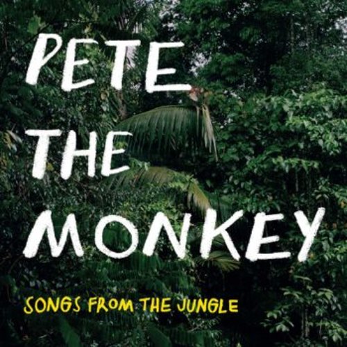 Pete The Monkey - Songs from the Jungle