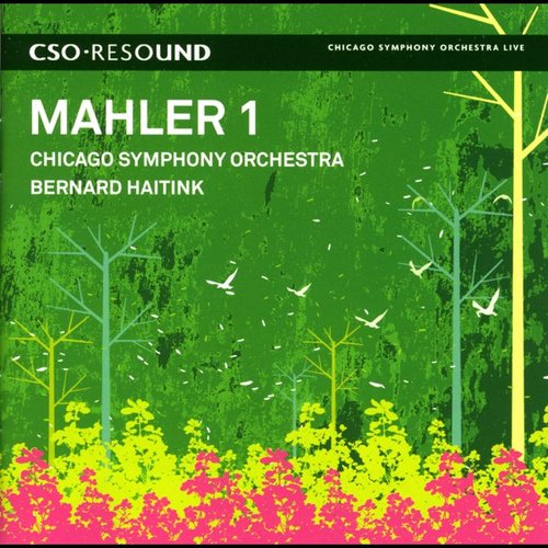 Mahler, G.: Symphony No. 1