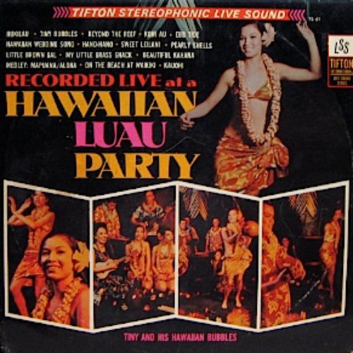Hawaiian Luau Party