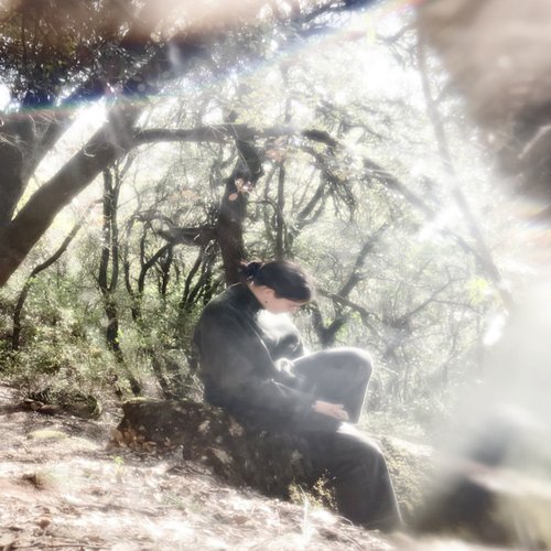 Solo Quiero Que Me Acaricies - Single
