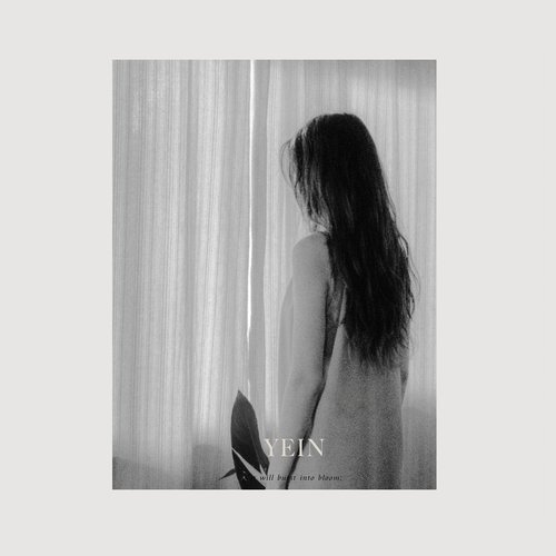 5 - EP
