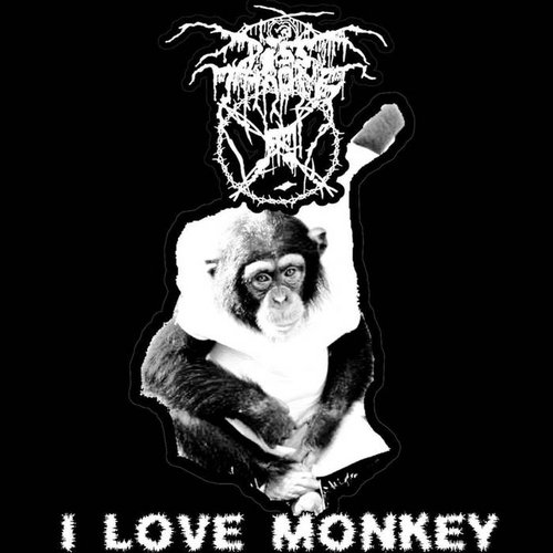 I Love Monkey