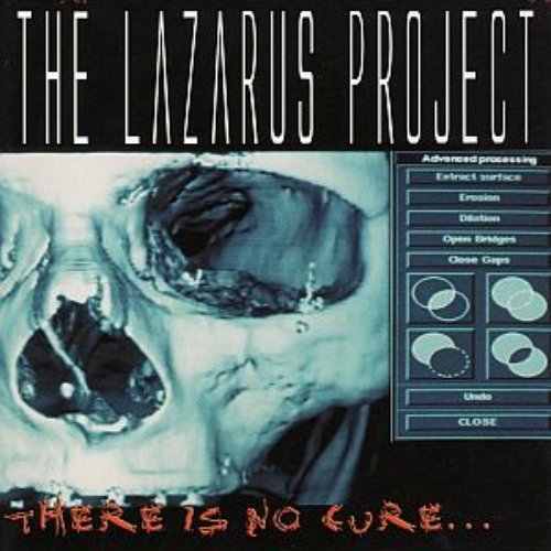 There Is No Cure...