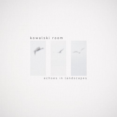 Echoes in Landscapes