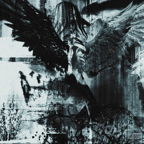 Internet Angel